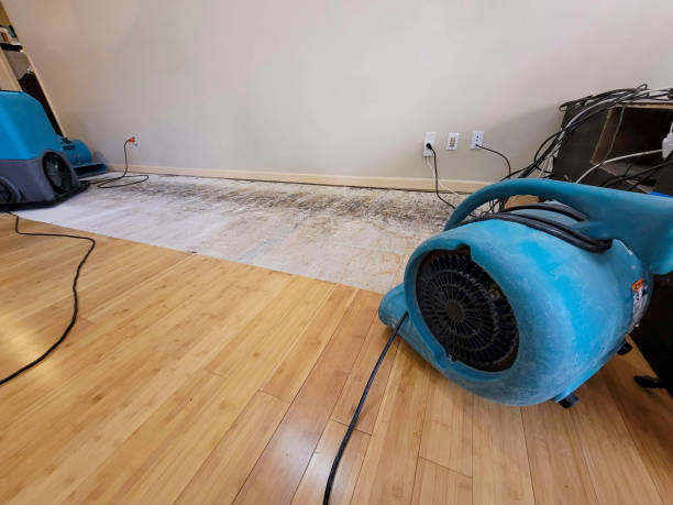 Professional Burst Pipe Water Damage technician working in Ideal, SD